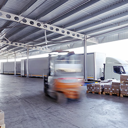 Storage, Cargo Handling, and Shipping Services