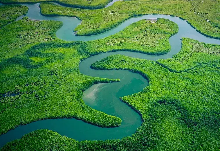 サステナビリティ