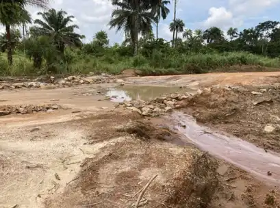 ぬかるんだ未舗装の道路に雨水が溜まり、小さな川のように赤土が流れている様子。周囲にはヤシの木や草木が生い茂っており、熱帯地域の農村地帯の風景が広がっている。