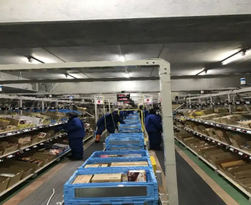 Frozen warehouse workers sorting products along a conveyor belt, with food items organized in blue containers for efficient picking operations.
