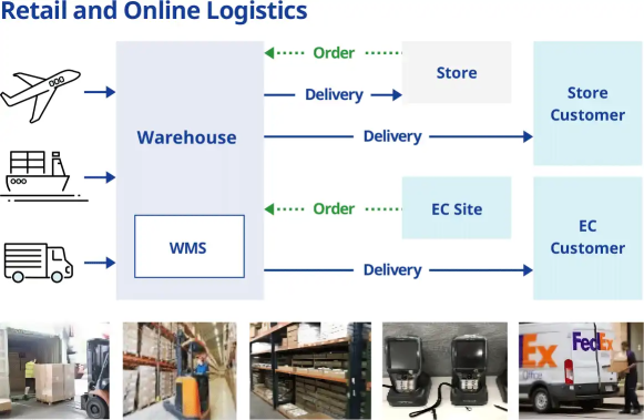 Retail and online logistics flow showing delivery from warehouse (WMS) to stores and e-commerce customers.